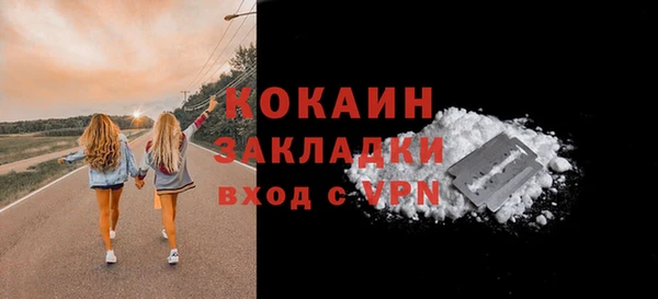 шишки Киренск