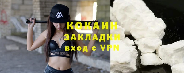 шишки Киренск