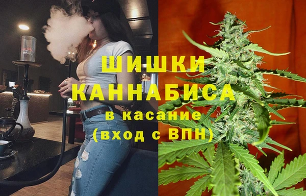 шишки Киренск